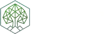 Arbor Ridge Tree Service - tree service in Buffalo NY